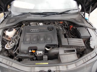 /photos/11679/7f171182-c6f4-1bde-f18f-164e0dcd903b_i320x240.jpg