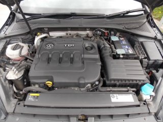 /photos/11679/bd19738c-6392-df59-0659-46778141fd5a_i320x240.jpg